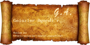 Geiszler Agenór névjegykártya
